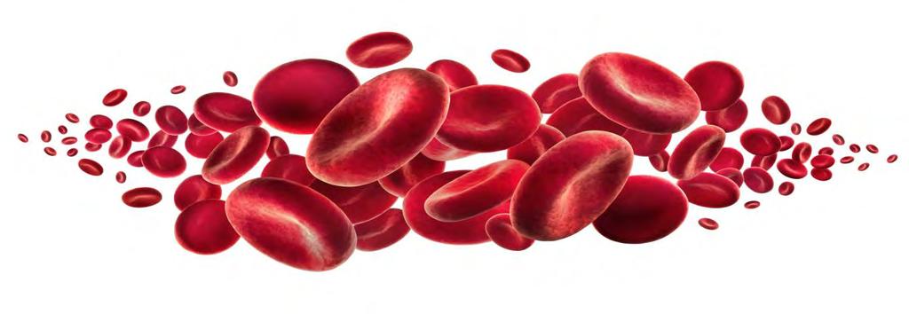 Anemi Kanın hemoglobin konsantrasyonu ve oksijen taşıma