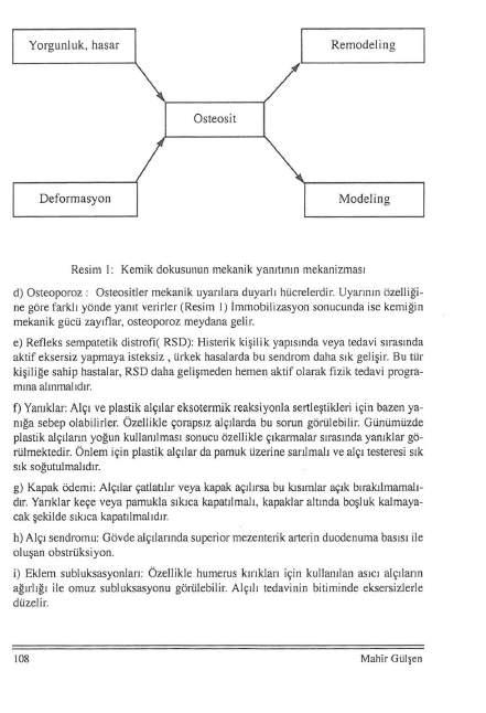 Yorgunluk, hasar i Remodeling i üsteasit Deformasyon Modeling Resim i: Kemik dokusunun mekanik yanıtının mekanizması d) Osteoporoz : Osteositler mekanik uyarılara duyarlı hücrelerdir.