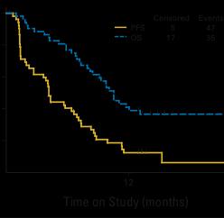 Daha önce 1-2 basamak KT almış ileri evre endometrium ca 56 hasta Bevacizumab