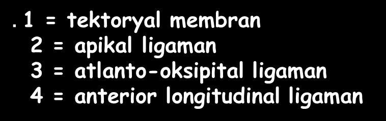ligaman 3 =