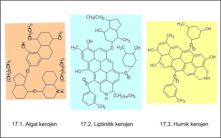 6 Kerojen (Şekil-17), çökel kayaçlar içerisinde bulunan büyük molekül ağırlıklı ve karmaşık yapılı organik bileşiklerdir.
