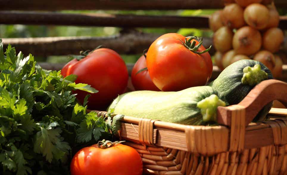 ORGANİK TARIM VE İYİ TARIM UYGULAMALARI DESTEKLERİ İyi Tarım Uygulamaları İyi Tarım Uygulamaları Desteği Sertifika (TL/da) Meyve, Sebze Bireysel 50 Grup 40 Süs Bitkileri, Tıbbi Aromatik Bitkiler
