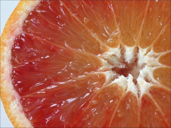 Pektik bileşikler: Hücre duvarında yer alır, hücreleri birbirine bağlar. Jel oluşturur, reçel ve marmelatlara kıvam sağlar. Meyve ve sebzelerin olgunlaştıkça yumuşamasını sağlar.