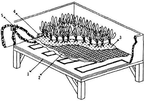 Sıcak yastık olarak kullanılan elektirikli ısıtmalı masa Elektrikle ısıtılan masa. 1.