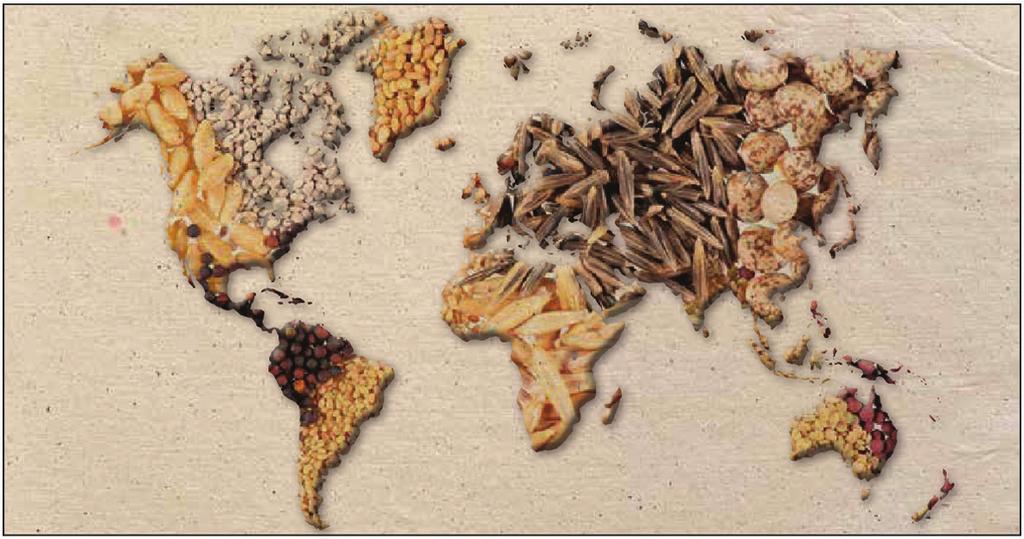 TOHUM GELECEKTİR 1. TOHUMCULUĞUN TARİHÇESİ VE ÖNEMLİ GELİŞMELER 1.1. Dünya Yüz yıllardır mahsulden ayrılan ürün tohum olarak kullanılmaktayken, XIX.