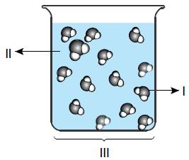Tanecik modeli verilen I, kabı dolduran sıvı II ve bu maddelerden oluşan III numaralı karışımın doğru adlandırılması hangi