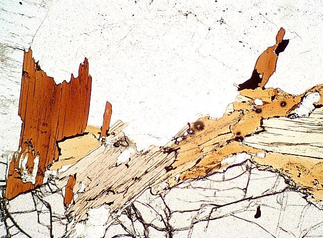 (Bowen tepkime serilerinde plajioklaslar gibi kesiksiz tepkime serileri oluştururlar ve magmada ilk kristalleşen minerallerdir). Ultrabazik ve bazik kayaçlarda görülen önemli bir mafik mineraldir.