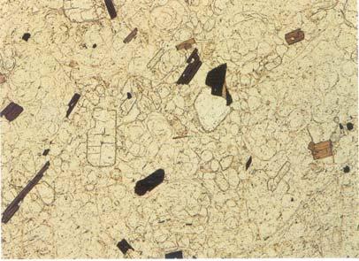 Şekil 4.2. Hipokristalen dokuda, plajioklas, biyotit ve opak mineral içeren dasit örneği (X20; //N ve +N).