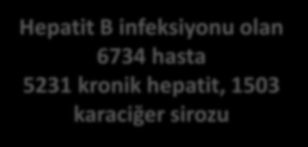 derlemesi 1995 öncesi ve sonrasının karşılaştırması Hepatit B