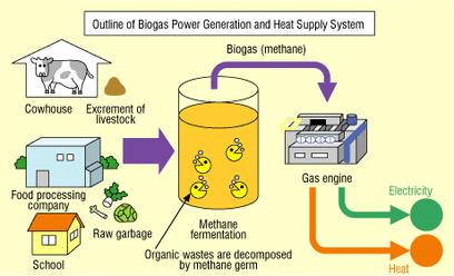 Biyogazın Tanımı ve Oluşumu Biyogaz, organik materyallerin (gübre, bitkiler, çöp, yemek artığı, kimyasal atıklar,vb.