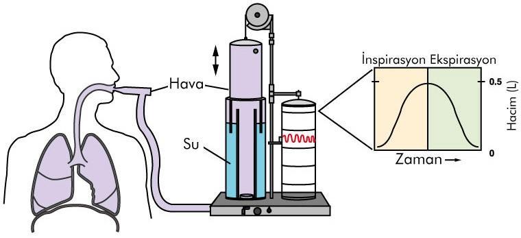 Akciğer Hacimleri: Spirometre Nefes