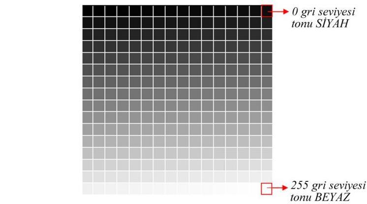 255 gri seviyesi ise beyaz renge ve bu gri seviyeler arası ise farklı gri renk tonlarına karşılık gelir. Şekil 3.