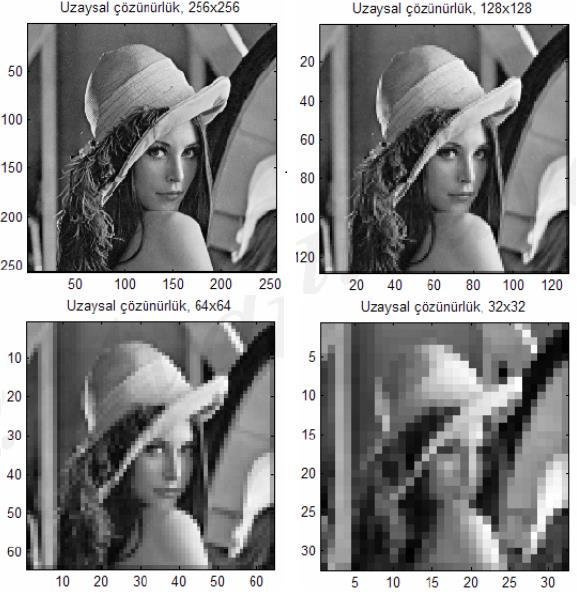 Şekil 3.7. Farklı uzaysal çözünürlükte olan ve her bir pikseli 8 bit ile kodlanan gri ton seviyeli örnek görüntüler (Kızılkaya, 2008) 3.1.6.