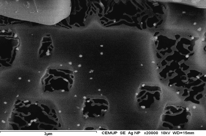 82 büyütme). Şekil 26: Çözeltideki gümüş nanopartiküllerin SEM görüntüsü (x 20.