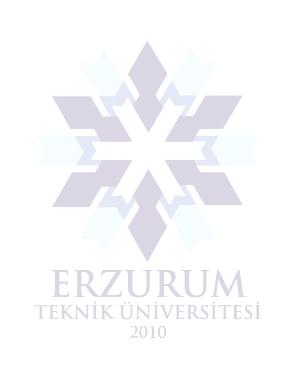 ERZURUM TEKNİK