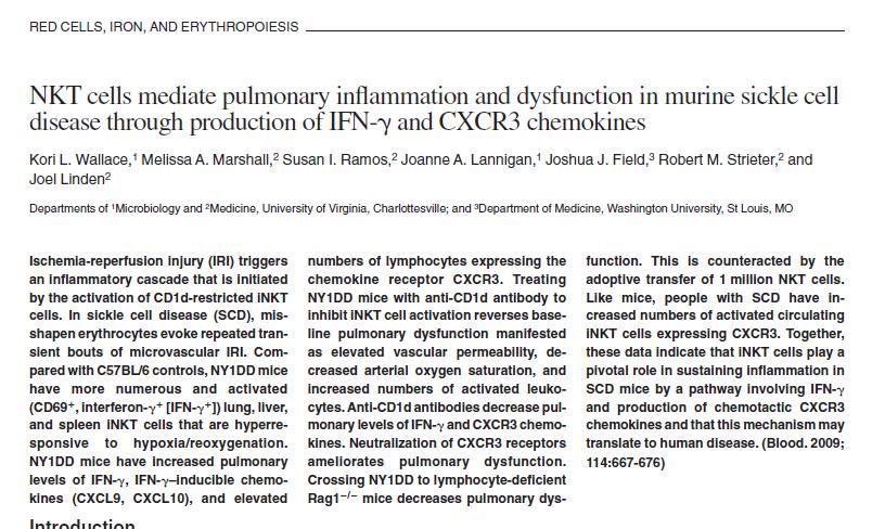 Pulmoner