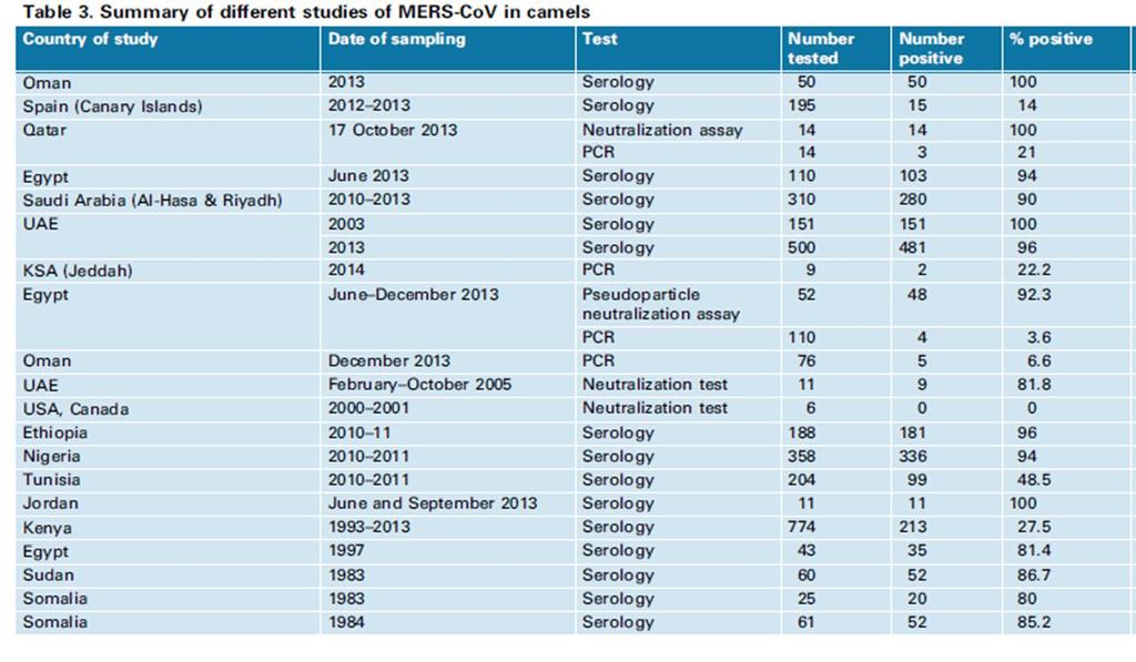 Develer? Al-Tavfiq, et al.