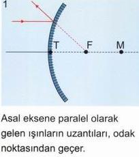 Tümsek aynaya gelen ışınlar nasıl yansır?