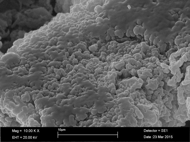 3 ve 2 gram olduğu, Mikrokapsül-13 mikrokapsülüne ait SEM görüntüsü verilmiştir.