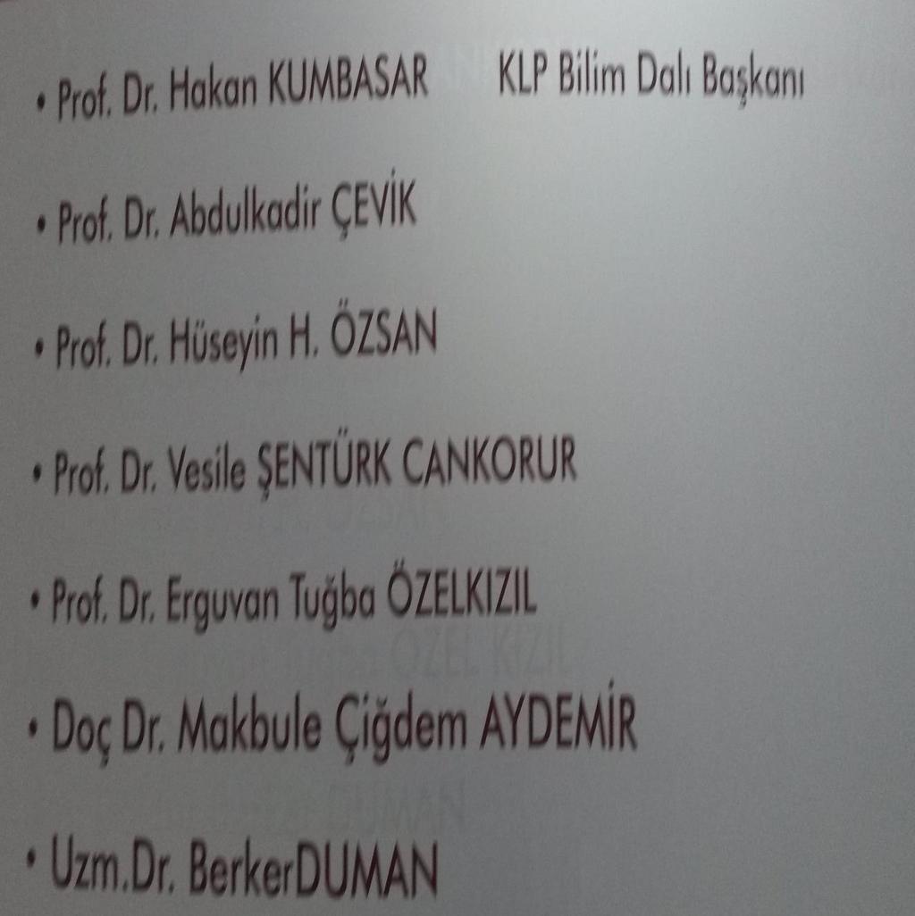 Sonuç olarak şu anda Ankara Üniversitesi Tıp fakültesi Erişkin Ruh Sağlığı ve Hastalıkları Anabilim Dalı bünyesinde KLP Bilim Dalı zengin öğretim