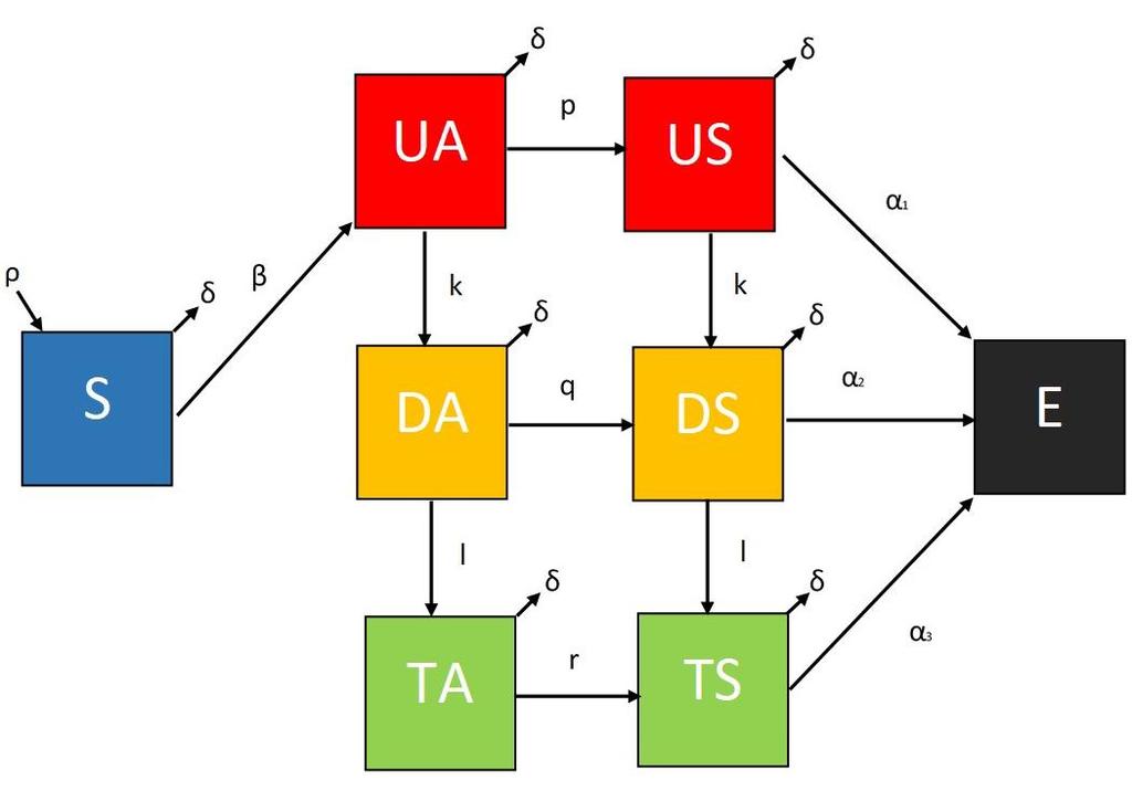 Model Diagramı Hastalığın ilerlemesi Tanı alma AIDS e bağlı ölüm