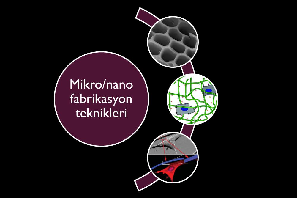 Hücre Davranışının Yönlendirilmesi için Mikro/nano Desenleme Teknikleri Mikrofabrikasyon teknikleri ile hazırlanan yapılar,
