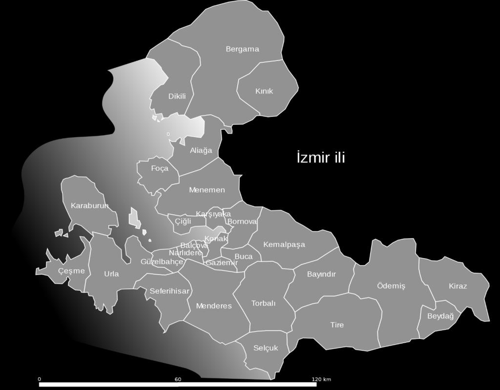 Büyükşehir statüsüne sahip olan İzmir in ilçeleri; Karşıyaka, Konak, Gaziemir, Balçova, Narlıdere, Güzelbahçe, Bayraklı, Karabağlar, Bergama, Dikili, Kınık, Aliağa, Foça, Menemen, Çiğli, Bornova,