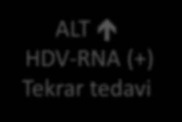 HDV-RNA (-), 3 ay ara ile ALT, HDV-RNA kontrolu