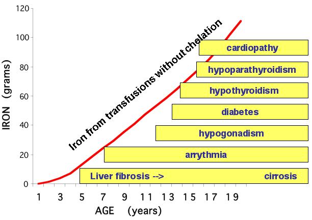 Age at diagnosis of HT Tanı Tedavi a) Tanı, serum kalsiyum seviyesine göre; düşük serum kalsiyum, yüksek fosfat ve düşük PTH seviyelerine dayanır.