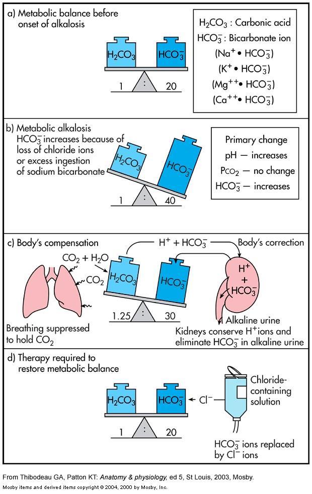 Metabolik Alkalozda Kompanzasyon A. Alkalozdan önce metabolik denge H 2 CO 3 : karbonik asit HCO 3- : bikarbonat B. Cl kaybı veya HCO3 alımına bağlı metabolik alkaloz C.