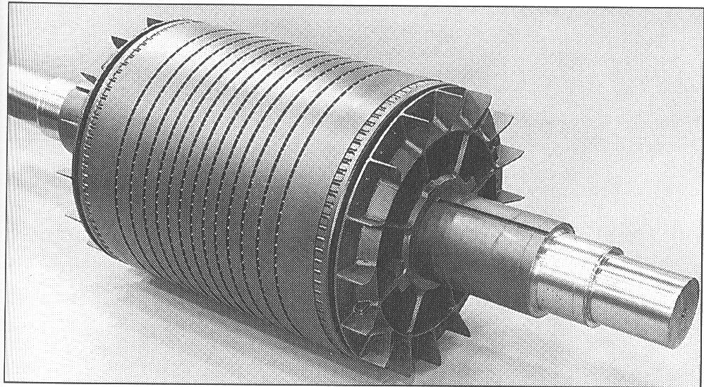 Rotor Sincap kafesin