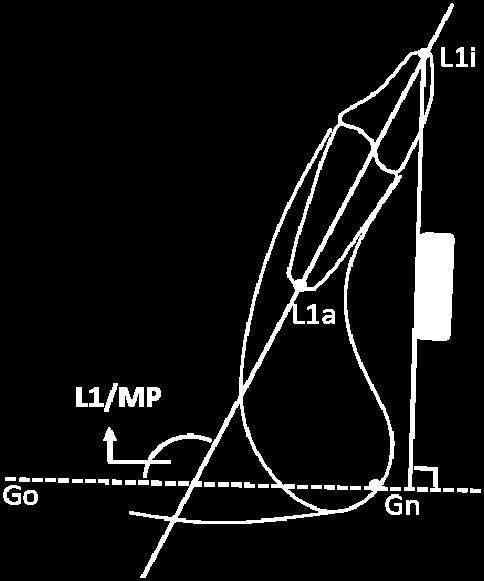 noktasıdır. İdp (İnfradentale posterior): En ileri konumda bulunan alt orta kesici dişin lingual alveolar kemiğinin tepe noktasıdır. İdo: İda ve İdp noktalarını birleştiren doğrunun orta noktasıdır.