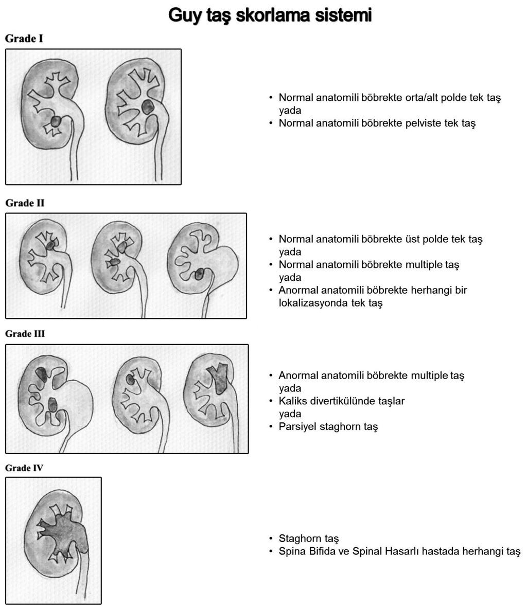 Yeni Üroloji Dergisi - The New Journal of Urology 2017; 12 (1): 06-13 Tablo 1. Hastaların demografik ve perioperatif özellikleri n/n %/% Cinsiyet (erkek/kadın) 333/173 65.8/34.