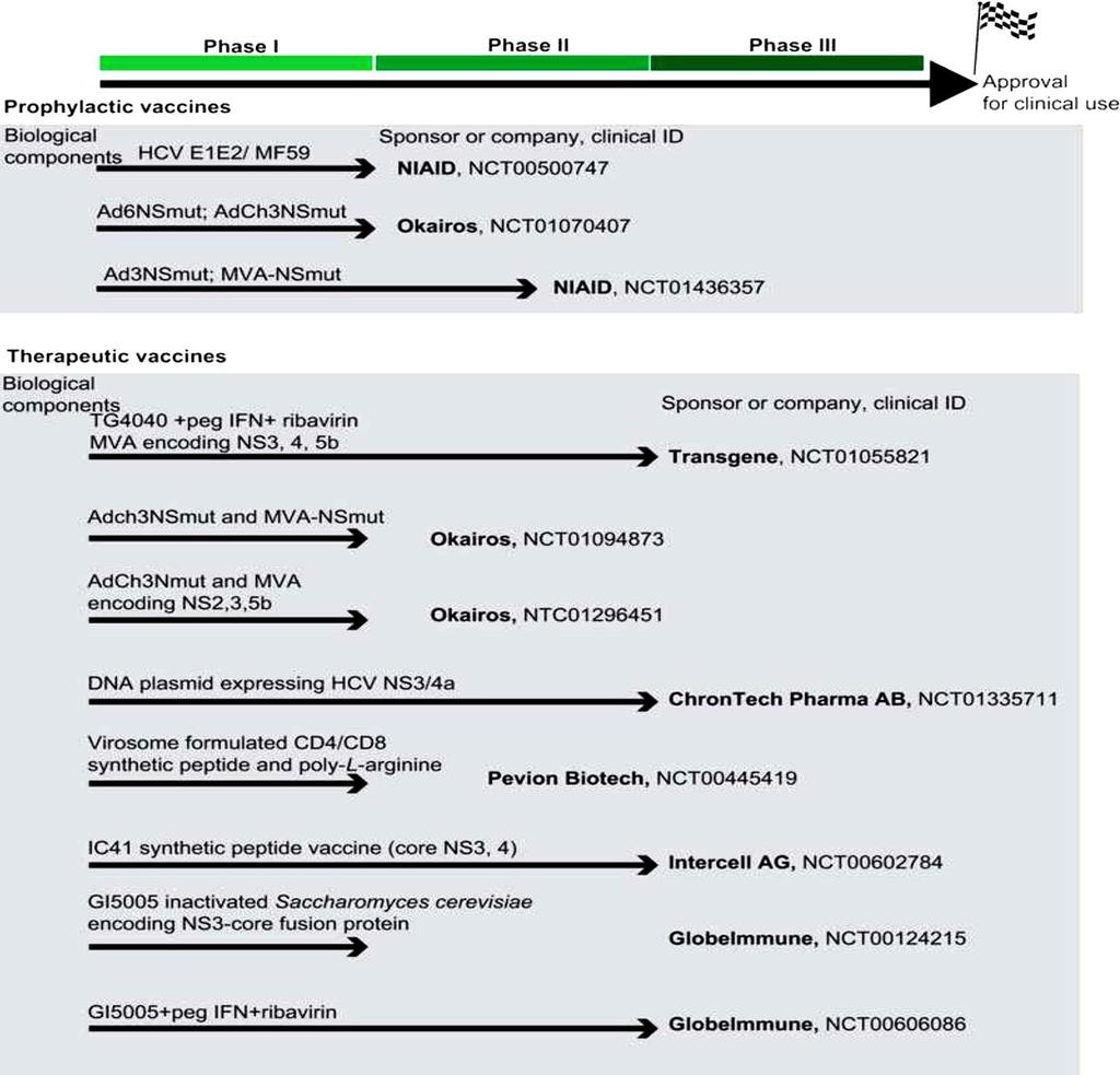 Int J Mol Cell Med.