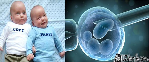 KLONLAMA Klonlama günümüzde embriyoların veya herhangi bir organizmanın
