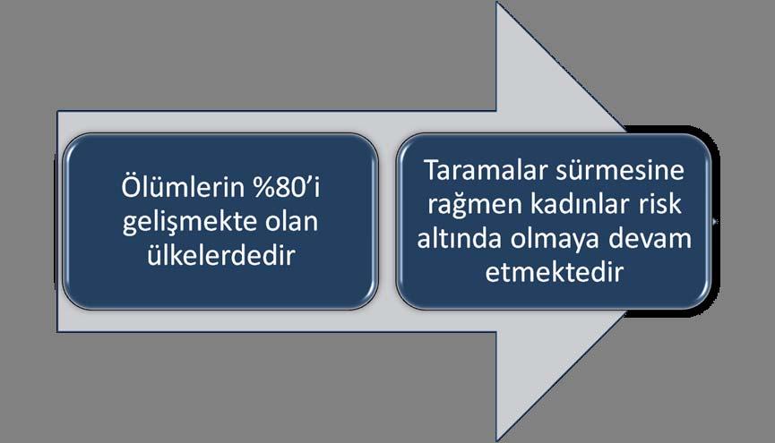 Dünyada Serviks Kanseri Ferlay J,