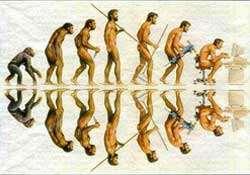 ANTROPOLOJİ Fiziksel antropoloji, İnsanoğlunun fiziksel gelişimini ve evrimini inceler. Yani insanın biyolojik gelişiminin tarihiyle ilgilidir.