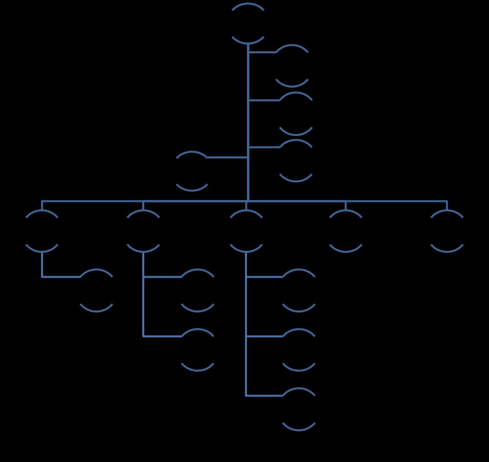 f) Organizasyon Şeması IV.
