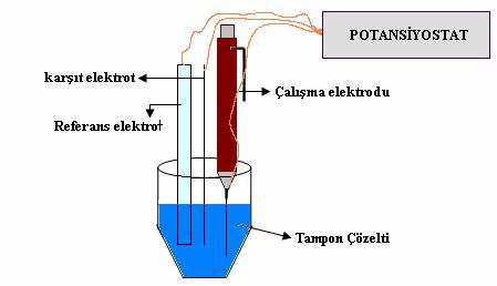 Şekil 1.4. Voltameterik hücre ve bileşenleri 1.2.2.1. Voltametrik kap Voltametrik analizler cam, kuvars veya teflon kaplarda yürütülür.