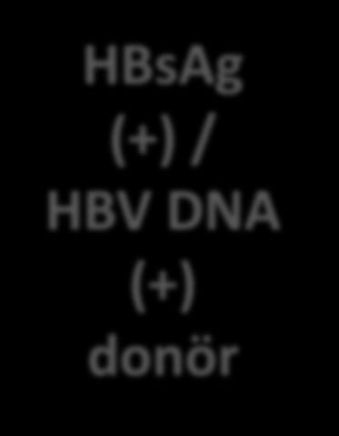 Hepatit B Virüsü - HBV Donöre en az 4 hf veya HBsAg