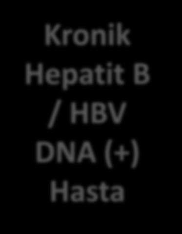 Hepatit B Virüsü - HBV Kronik Hepatit B / HBV DNA (+) Hasta