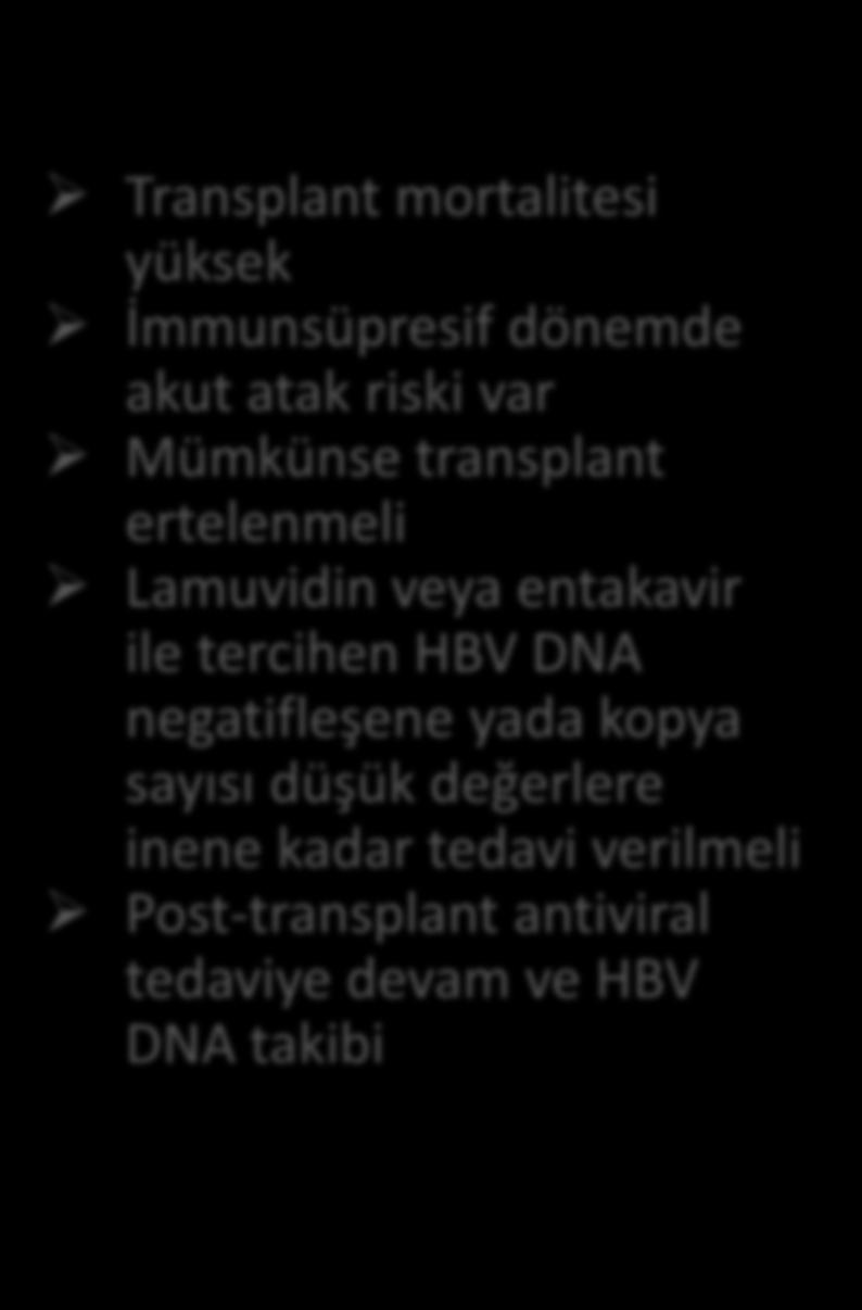 HBV DNA negatifleşene yada kopya sayısı düşük değerlere