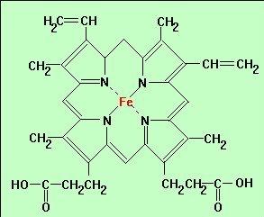 Bir hemoglobin molekülünde 4 demir atomu