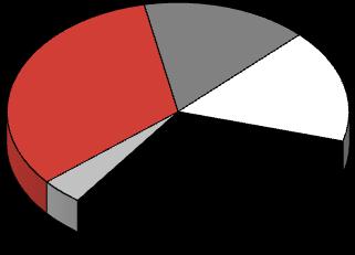 Dengeli FAVÖK FAVÖK mntl Sektör Payları % 4,401 15% 5,073 Enerji 33% Otomotiv 16% D.