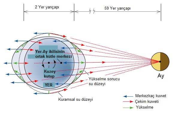 Yer in dönmesinden dolayı gün içinde