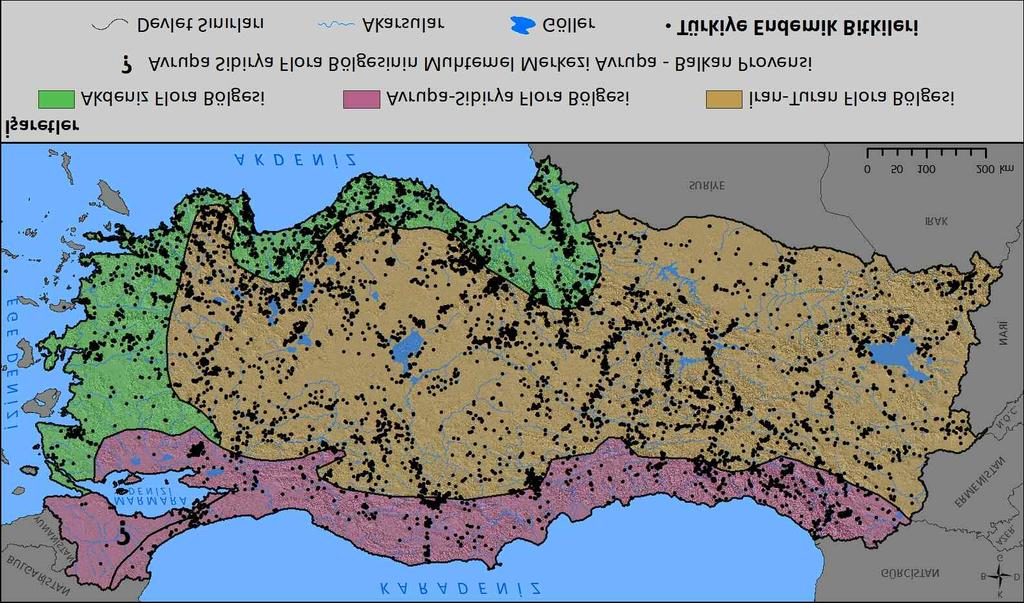 3. Flora Bölgelerine Göre Endemizm Türkiye Avrupa-Sibirya, Akdeniz ve İran-Turan dan oluşan üç flora bölgesinin kesiştiği bir konumda bulunmaktadır (Avcı, 1993).