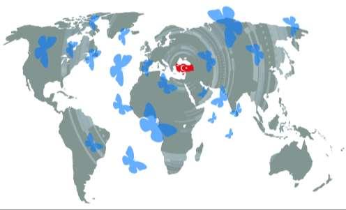 Uluslararası Lider Araştırmacılar Programı-2232 2018 yılı bitmeden çağrı açılacak.