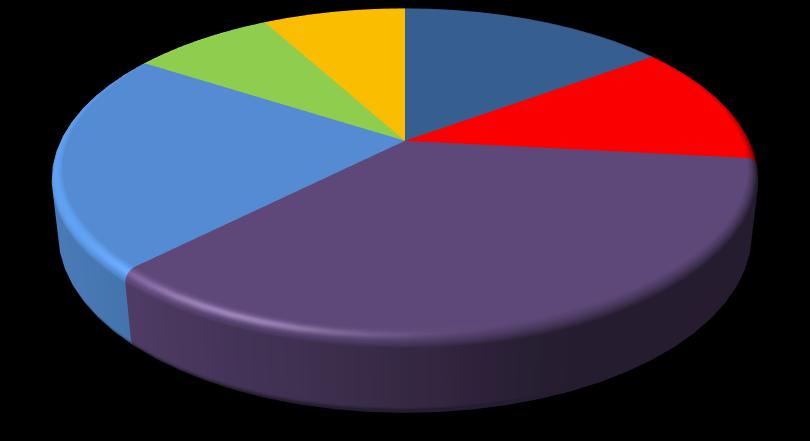 37% Kurumsal; 8% Toptancı; 22% 2018 SEÇ; 8% Bireysel; 15% Geleneksel; 36% HORECA; 12% (*) Müşteri verileri tekrar