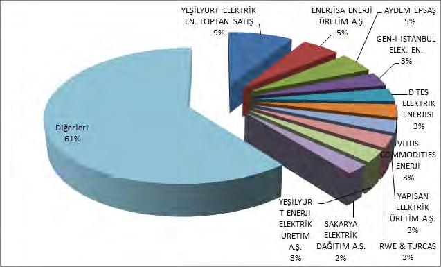 Miktarlarının Şirket Bazında Dağılımı ve İlk 10 Şirketin Payı