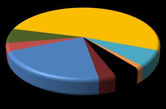 Genel Bütçe Giderlerinin Dağılımı Mal ve (Haziran 18) Hizmet Alım Giderleri %6.61 Cari Transferler %51.85 SGK Devlet Primi %3.6 Kaynak: Maliye Bakanlığı Personel Giderleri %21.